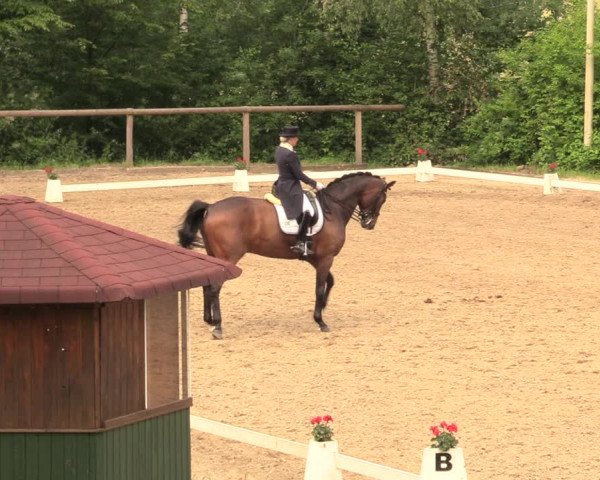 Reitturnier Erkrath - Uhlenhof 2018