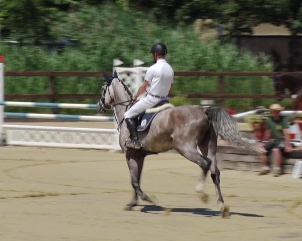 Reitturnier Schönfeld 2018