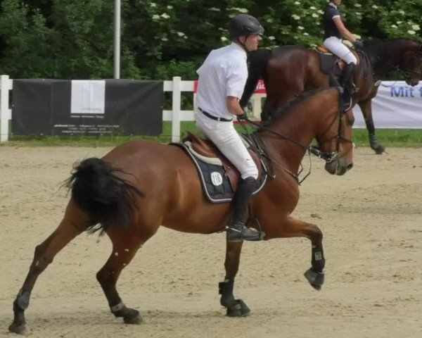 Reitturnier Isny-Rohrdorf 2018