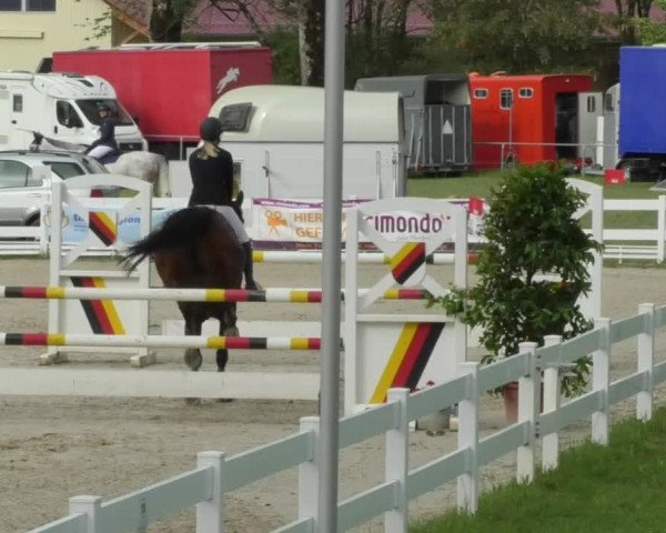 Reitturnier Isny-Rohrdorf 2018