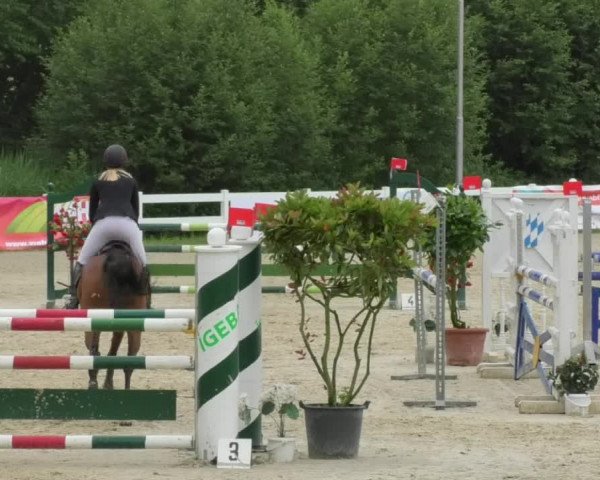 Reitturnier Isny-Rohrdorf 2018