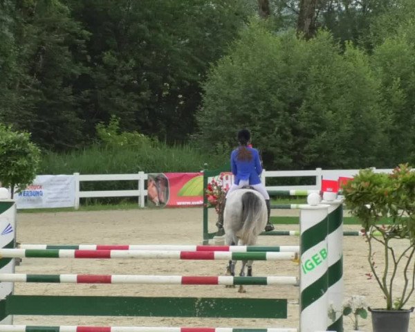 Reitturnier Isny-Rohrdorf 2018