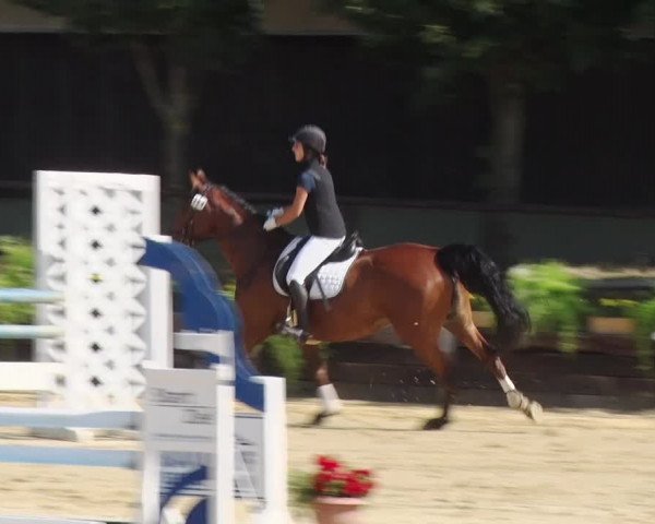 Reitturnier Schönfeld 2018