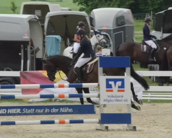 Reitturnier Isny-Rohrdorf 2018