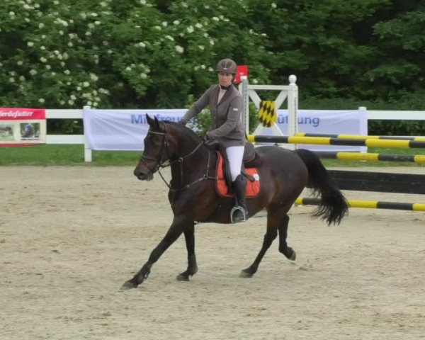 Reitturnier Isny-Rohrdorf 2018