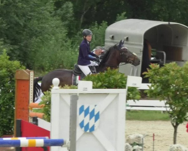 Reitturnier Isny-Rohrdorf 2018