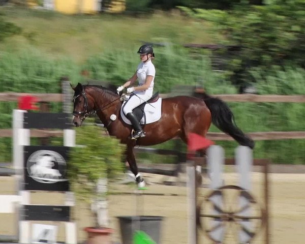 Reitturnier Schönfeld 2018