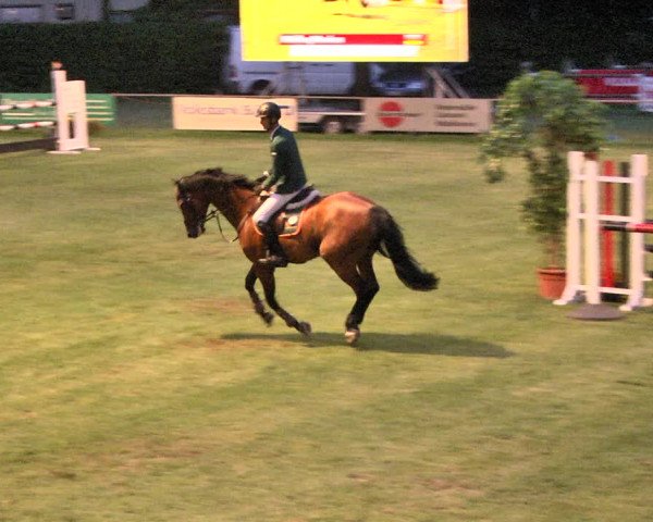 Reitturnier Legelshurst 2018
