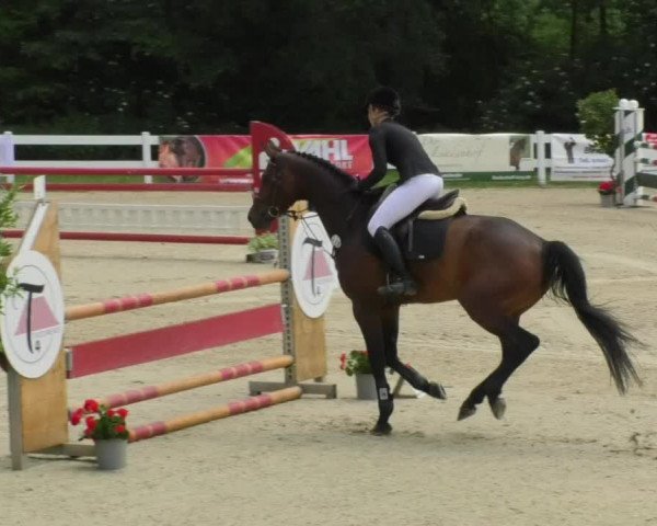 Reitturnier Isny-Rohrdorf 2018