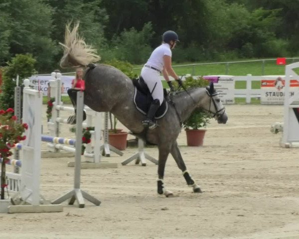 Reitturnier Isny-Rohrdorf 2018