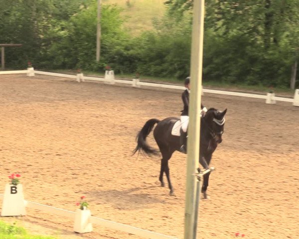 Reitturnier Erkrath - Uhlenhof 2018