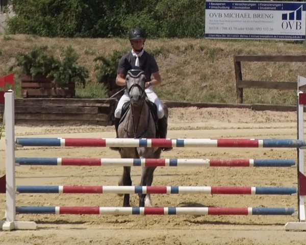Reitturnier Schönfeld 2018