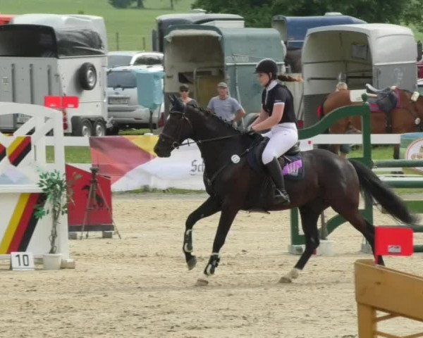 Reitturnier Isny-Rohrdorf 2018