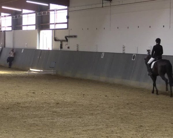 Reitturnier Dortmund-Asseln 2018