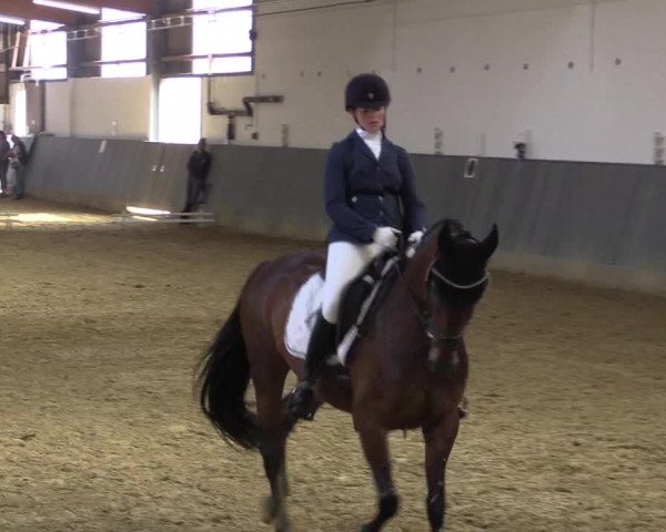 Reitturnier Dortmund-Asseln 2018