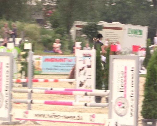 Reitturnier Detmold-Remmighausen 2018