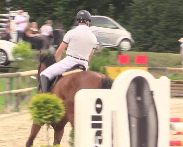 Reitturnier Detmold-Remmighausen 2018