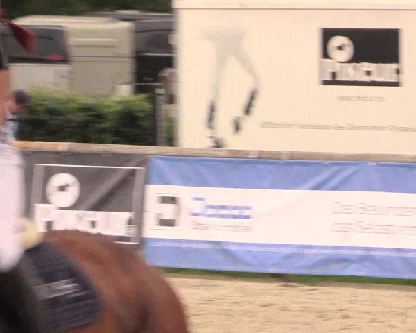 Reitturnier Detmold-Remmighausen 2018
