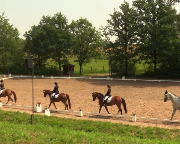 Reitturnier Erkrath - Uhlenhof 2018