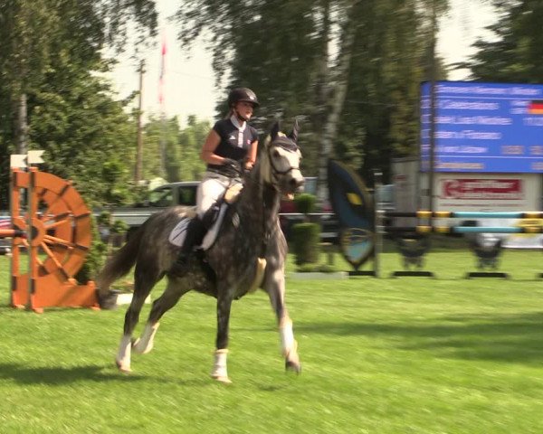 Reitturnier Hille 2018
