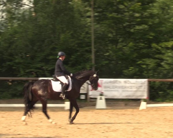 Reitturnier Erkrath - Uhlenhof 2018