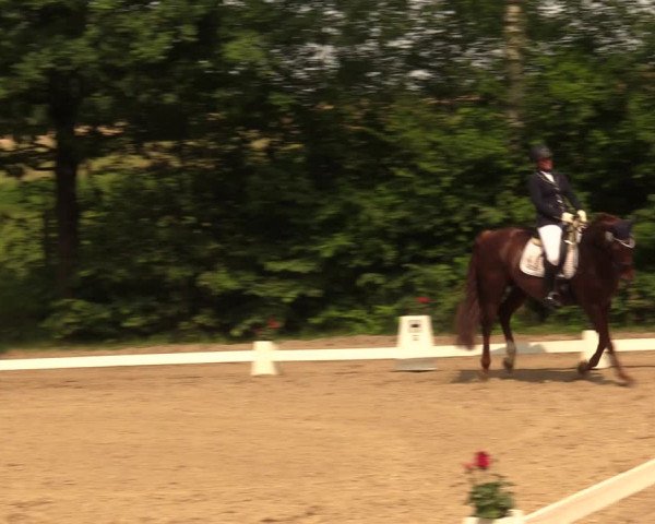 Reitturnier Erkrath - Uhlenhof 2018