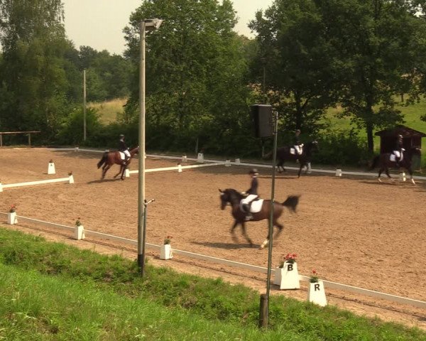 Reitturnier Erkrath - Uhlenhof 2018
