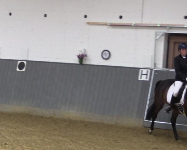 Reitturnier Dortmund-Asseln 2018