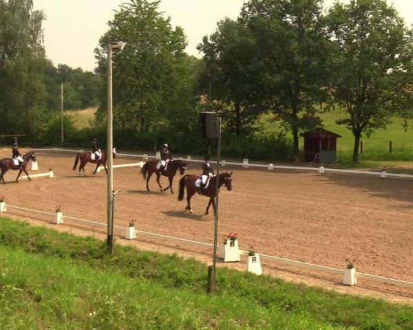 Reitturnier Erkrath - Uhlenhof 2018
