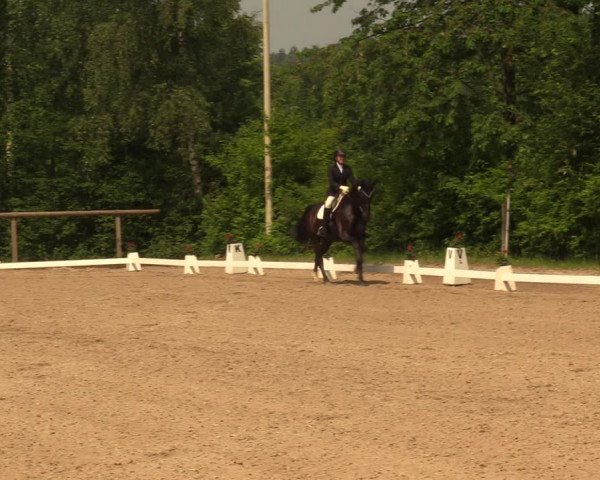 Reitturnier Erkrath - Uhlenhof 2018
