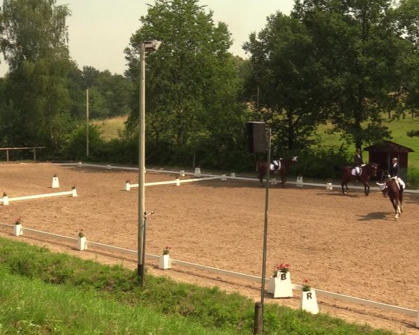 Reitturnier Erkrath - Uhlenhof 2018