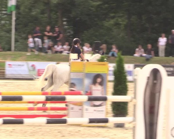 Reitturnier Detmold-Remmighausen 2018