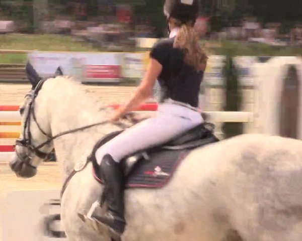 Reitturnier Detmold-Remmighausen 2018