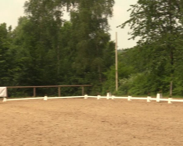 Reitturnier Erkrath - Uhlenhof 2018