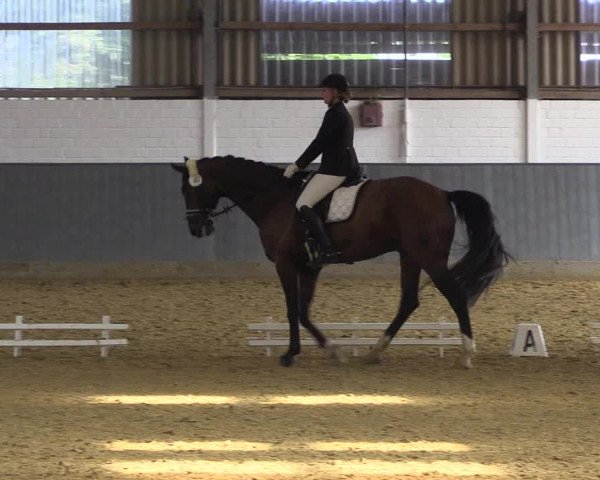 Reitturnier Dortmund-Asseln 2018