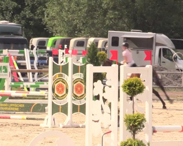 Reitturnier Detmold-Remmighausen 2018