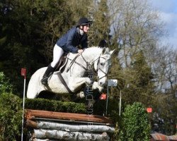 Springpferd Armagedon 9 (Polnisches Warmblut, 2005, von Eskudo)