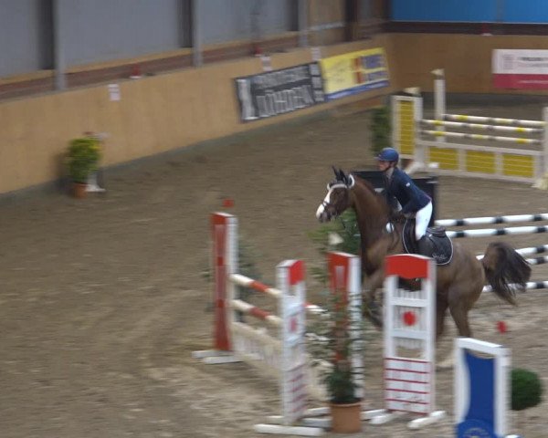 Reitturnier Osterholz-Scharmbeck 2021
