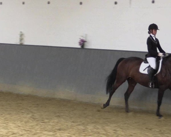 Reitturnier Dortmund-Asseln 2018