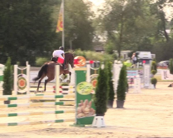 Reitturnier Detmold-Remmighausen 2018