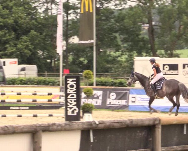 Reitturnier Detmold-Remmighausen 2018