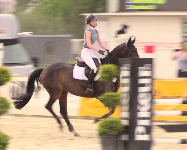 Reitturnier Detmold-Remmighausen 2018
