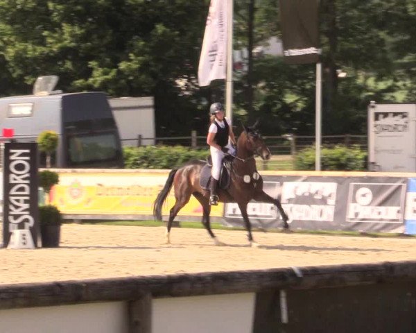 Reitturnier Detmold-Remmighausen 2018