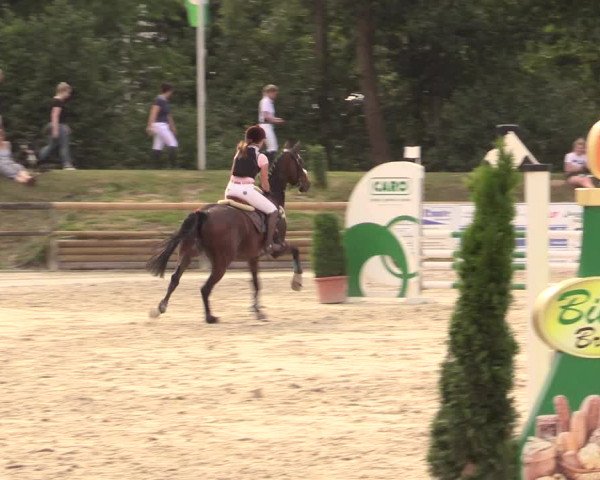 Reitturnier Detmold-Remmighausen 2018