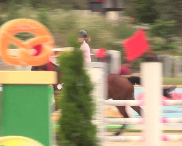 Reitturnier Detmold-Remmighausen 2018