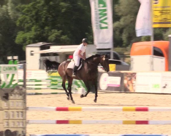 Reitturnier Detmold-Remmighausen 2018