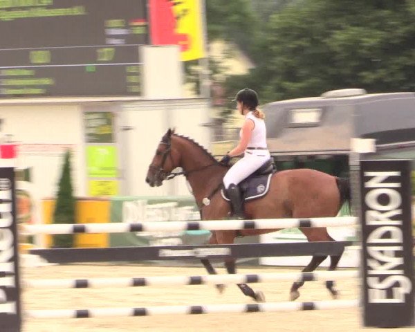 Reitturnier Detmold-Remmighausen 2018