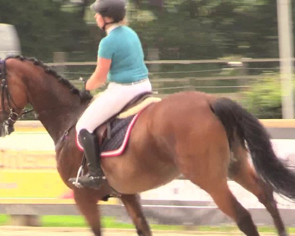 Reitturnier Detmold-Remmighausen 2018