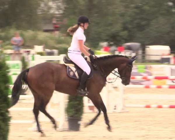 Reitturnier Detmold-Remmighausen 2018