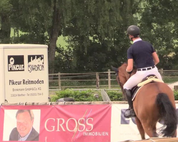Reitturnier Detmold-Remmighausen 2018